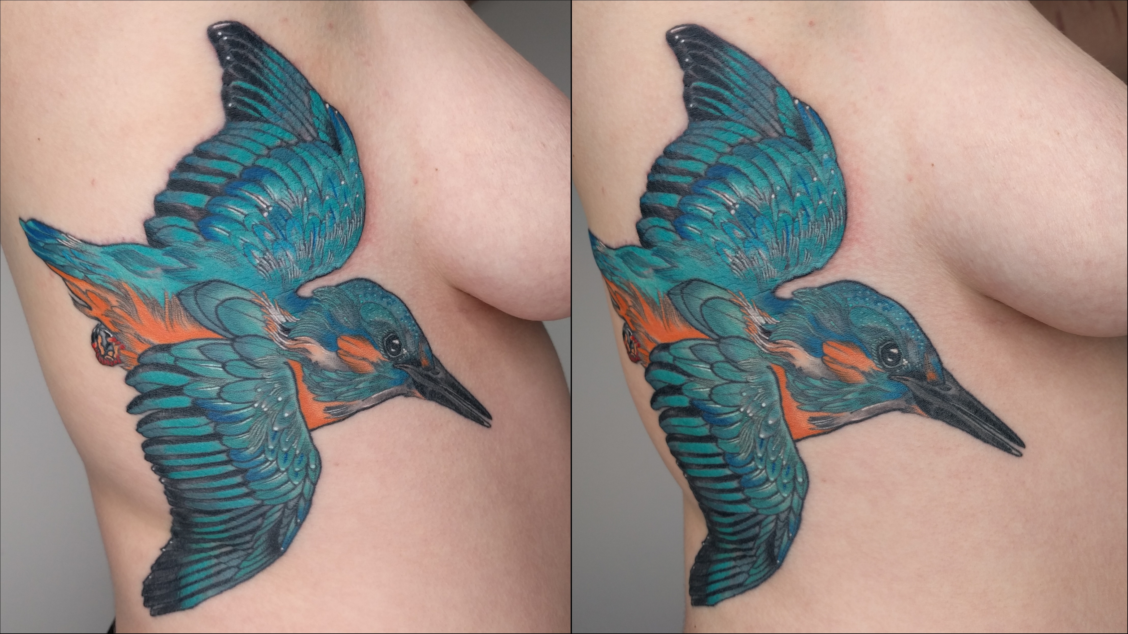Isfugl (ice bird in danish) aka kingfisher done at bright side tattoo,  Copenhagen by me (@kest234) : r/tattoo